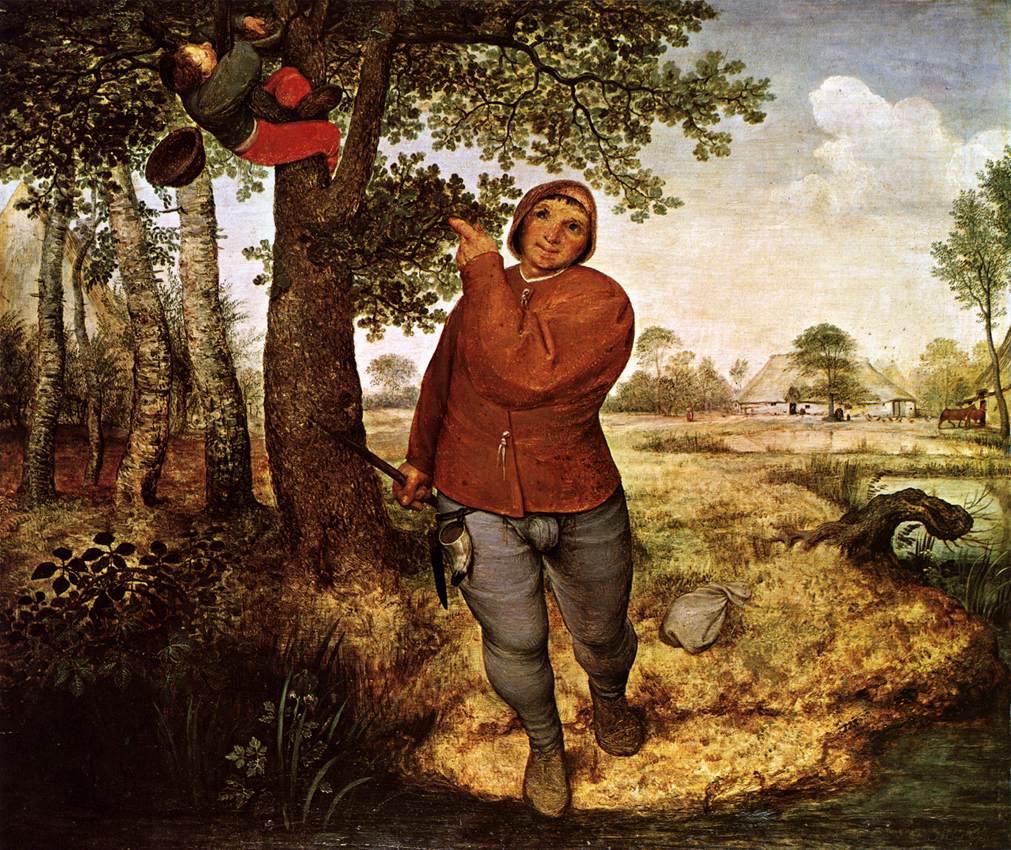 Bruegel, Nester